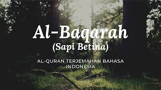 Download lagu 2. Al-Baqarah - Sapi Betina | Al-Quran Terjemahan Bahasa Indonesia mp3 Download lagu 2. Al-Baqarah - Sapi Betina | Al-Quran Terjemahan Bahasa Indonesia mp3