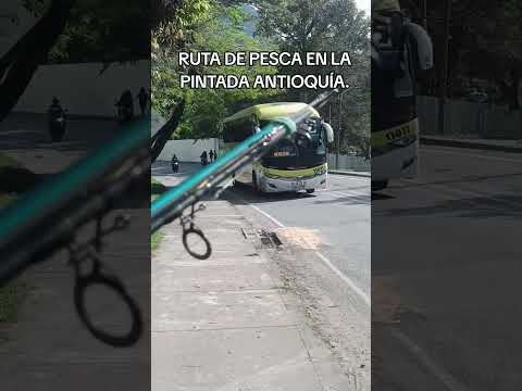 AVENTURA DE PESCA EN LA PINTADA ANTIOQUÍA.