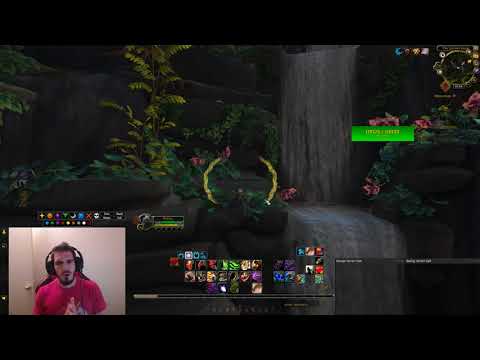 BFA Week #1 Feral Druid