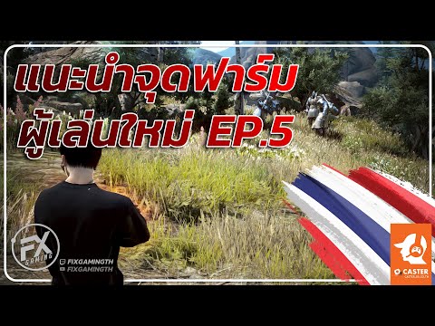 Black Desert Online [ Guide ] แนะนำจุดฟาร์มผู้เล่นใหม่ EP.5