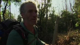 Presenter Gordon Buchanan is trapped by a forest fire - Wild Burma: Nature's Lost Kingdom - BBC Two