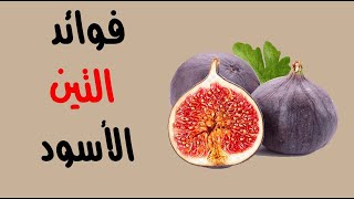 ما هي فوائد التين الأسود ؟ ما هي فوائد التين الأسود ؟