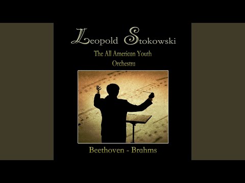 Symphony No. 5 in C Minor Op. 67: IV Allegro