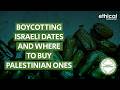 Which Brands Sell Palestinian Dates