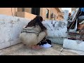 Cycle Aunty Aaj Kaprey Wash Kiye By Hand Vlog 34
