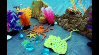 Sea Animals Fun Toys - Learn Animal Names Video For Kids