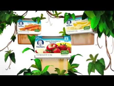 Gerber 2nd Baby Food