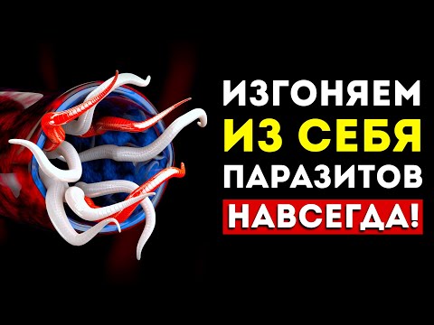 Супер-Еда Против Паразитов! Эти 9 Продуктов Изгонят Любых Глистов