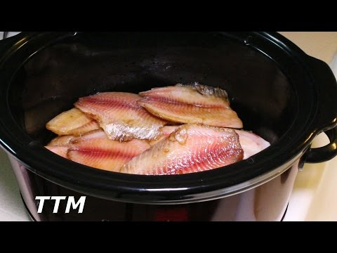 download lagu mp3 mp4 Slow Cooker Fish, download lagu Slow Cooker Fish gratis, unduh video klip Slow Cooker Fish