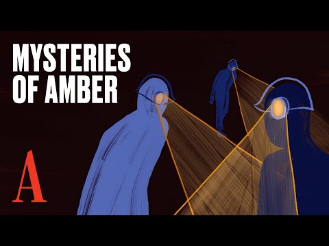 What Makes Amber the Most Unique Substance In the World?