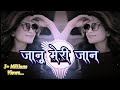 Janu Meri Jaan DJ Remix Me Tera Tu Meri Jane Sara Hindustan DJ Remix Play9 Music