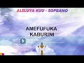 ALELUYA KUU SAUTI YA 1 SOPRANO Lyrics Video