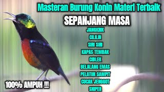 Download lagu MASTERAN BURUNG KONIN GACOR FULL SHOOTING TERBAIK FILLING MEWAH, TAJAM, KERAS mp3