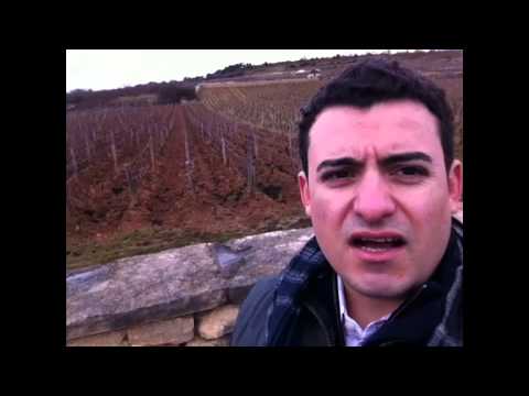 Explaining some of the Cote de Beaune and Montrachet