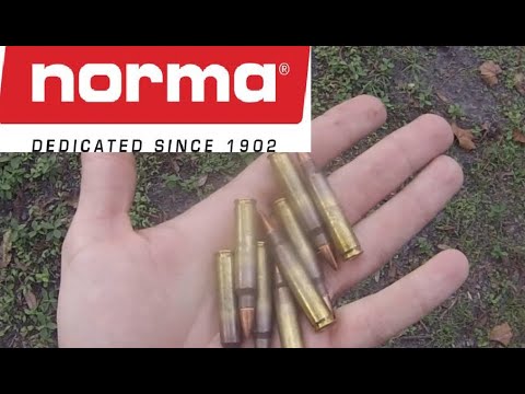 NORMA AMMUNITION?