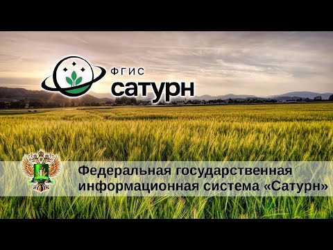 ФГИС Сатурн, обучение. Часть 5 (2023.04.06)