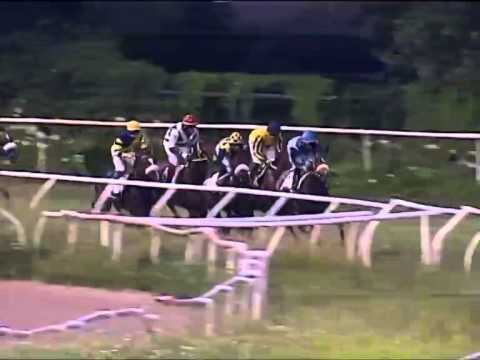 Galoppo 19/07/2014 - Corsa 2