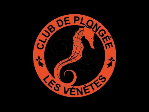 Vidéo YouTube