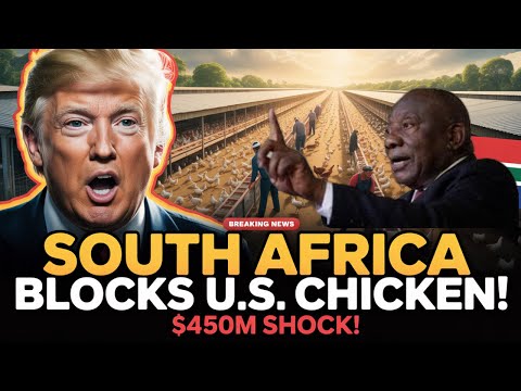 “South Africa Blocks U.S. Chicken Imports — America Loses $450 Million as Local Farmers Win”