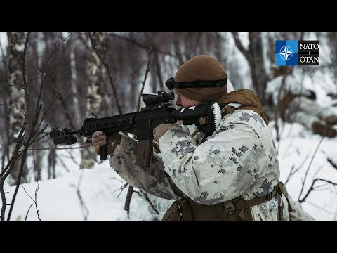 Exercise Cold Response 22 tests NATO Allies and partners