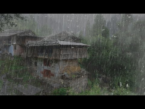 Falling into Deep Sleep Instantly with Heavy Rain on the Roof in the Foggy Forest