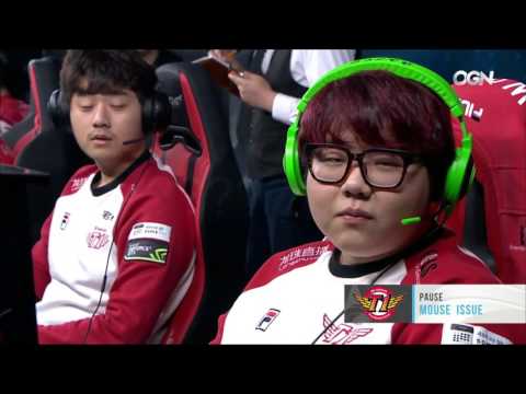 T1 WOLF VS CAMERAMAN