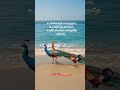 Adi Methu Adi Vaithu Tamil Song Lyrics Murugansong Muruga Bakthivedios Devotionalhits Murugan