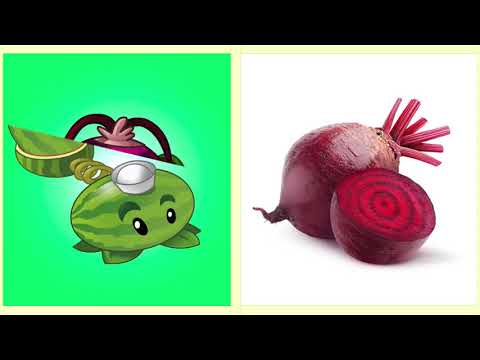 РАСТЕНИЯ В РЕАЛЬНОЙ ЖИЗНИ | ПЕРСОНАЖИ ИЗ ИГРЫ РАСТЕНИЯ ПРОТИВ ЗОМБИ 2