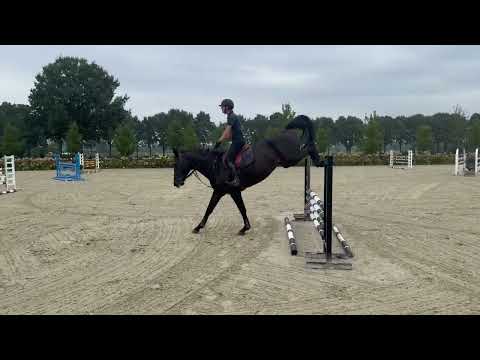 OLMARONE F video 1