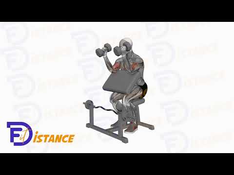 Curls pupitre avec haltère en prise marteau (Preacher) - Exercice Curls pupitre avec haltère en prise marteau (Preacher) en vidéo