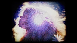 Shannon Wright - These Present Arms (official video)