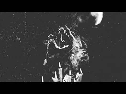 Unholy Vampyric Slaughter Sect - Visions In Shadows Cast By Nights Of A Thousand Demons