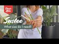 SUStee Watering indicator M set of 5