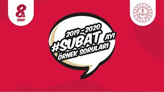 MEB 2020 ŞUBAT AYI LGS SAYISAL BÖLÜM MATEMATİK ÖRNEK SORULAR ÇÖZÜMÜ