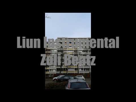 18. Liun Instrumental / Zoli Beatz - Represent Munich (Oldschool Rap Instrumental)