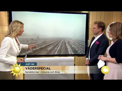 Säsong för sandstormar: "En vägg av sand kommer emot en" - Nyhetsmorgon (TV4)