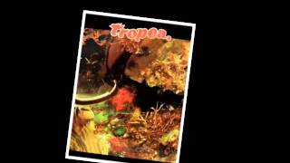 John Tropea "Dreams"