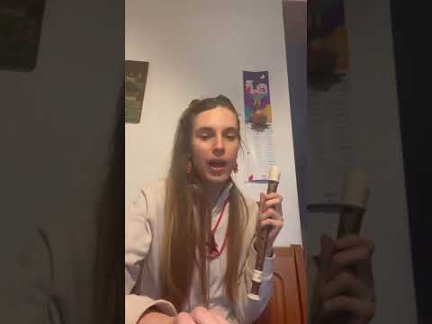 Tin whistle vs. Recorder: similarities & differences