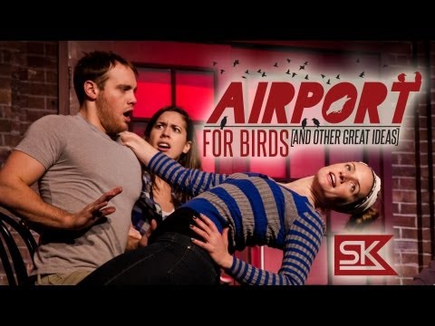 Thumbnail for video: Airport for Birds Preview