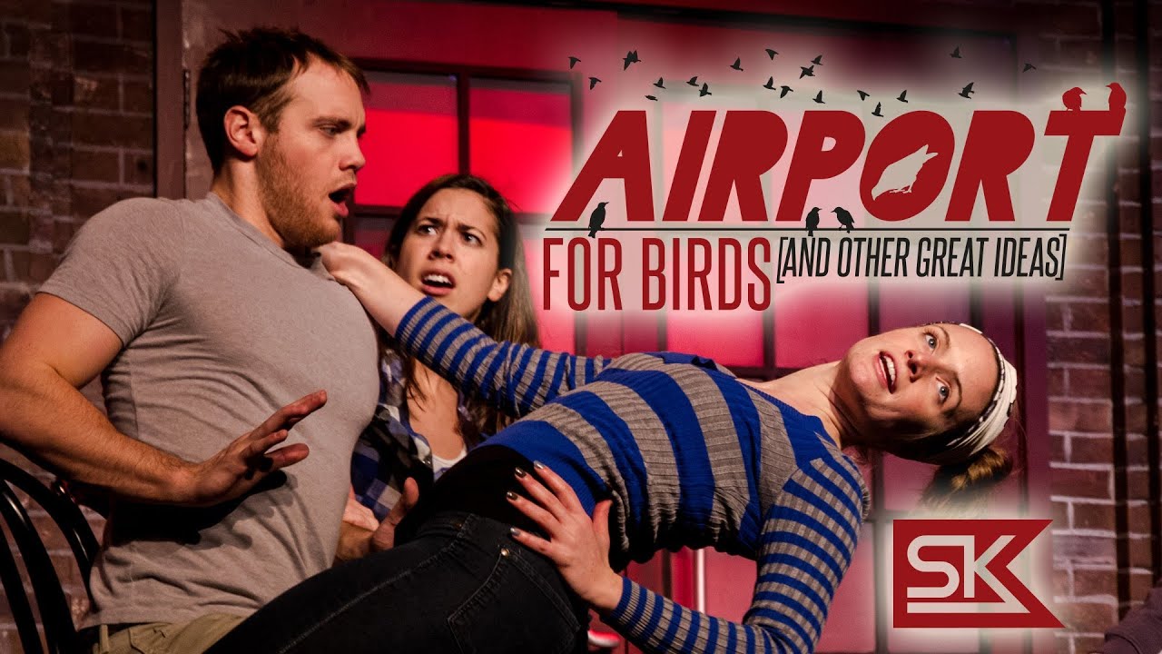 Airport for Birds Preview