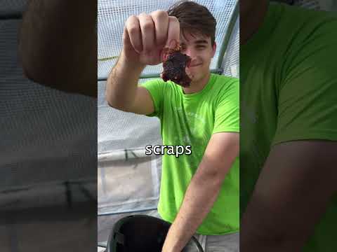 The Methane Digester is a powerful system! #shorts #sustainability