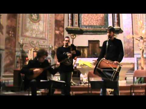 Lilium lyra Madre de Deus