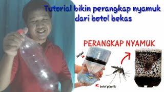 Download lagu Tutorial bikin perangkap nyamuk dari botol bekas mp3