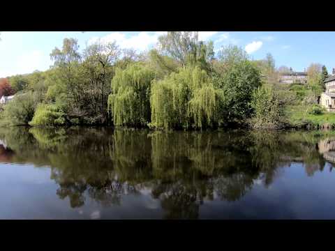 Magdale - Spring Wood round 4K (walk) 6 May 18