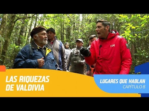 Lugares que Hablan | Temporada 2020 | Capítulo 8 | Valdivia