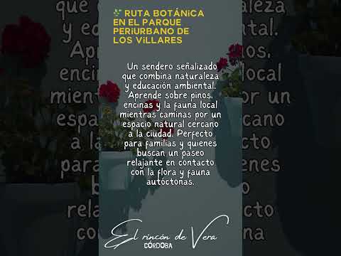 ¿Sabías ESTO de Córdoba? 🏛️🔥