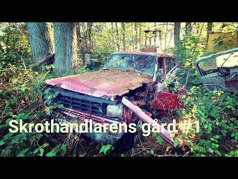 SKROTHANDLARENS GÅRD #1 - Blekinge - Sony Xperia 1 mk2 - oktober 2021
