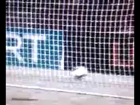 la grande papera di sereni