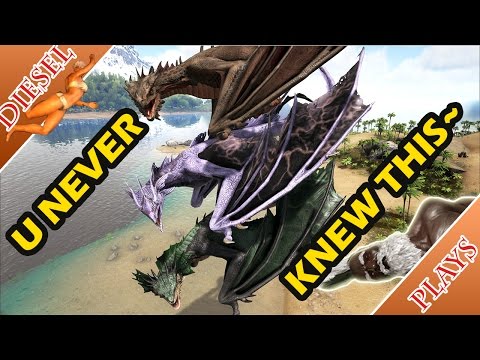 ART OF ARK - WYVERNS' DIFFERENCES WILL SURPRISE YOU!