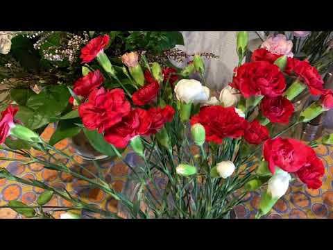 How to Fix OLD & DROOPY FLOWERS at HOME